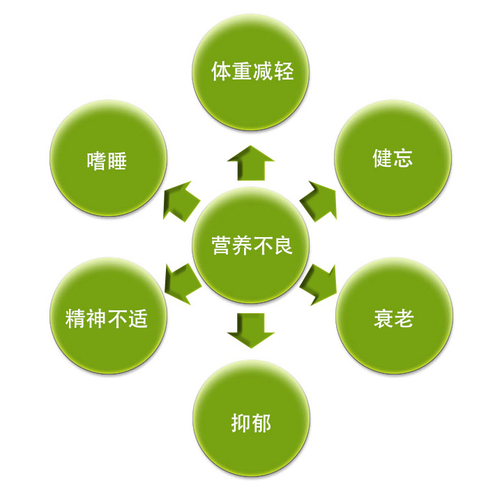 營養(yǎng)不良易引發(fā)的病癥.jpg 營養(yǎng)不良易引發(fā)的病癥.jpg